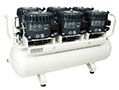 P 300-100 AL - 220 Volt (V) Voltage and 50/60 Hertz (Hz) Frequency Silent Oil Lubricated Air Compressor