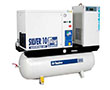 Silver D 10.00 Horsepower (hp) Power/300 Liter (L) Tank Size Rotary Screw Compressor with Air Receiver and Dryer